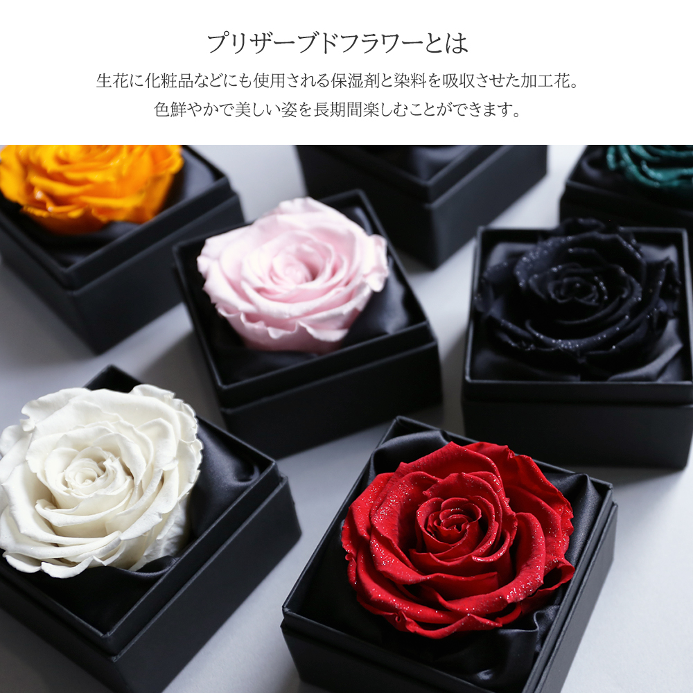 Diamond Rose 9 | MAKE FUTURE 本店