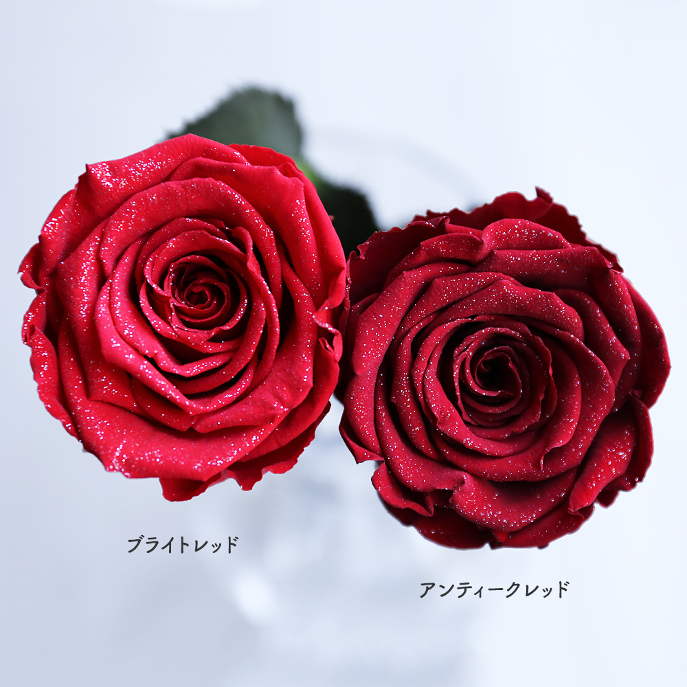 Makefuture Diamond Rose 2022 プリザーブドフラワー 花 誕生日 一輪