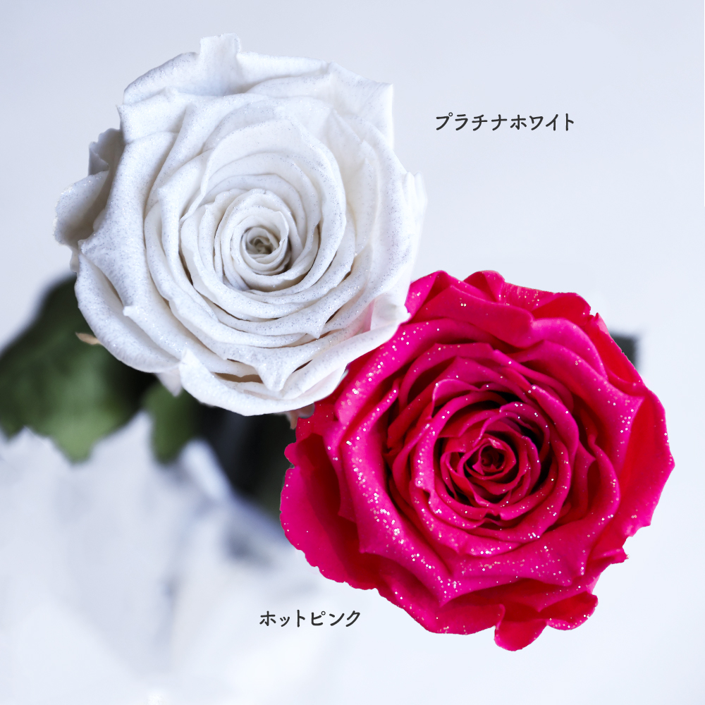Diamond Rose 一輪の薔薇 ダイヤモンドローズ | MAKE FUTURE 本店